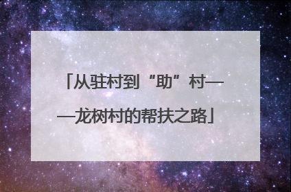 从驻村到“助”村——龙树村的帮扶之路