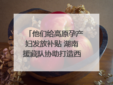 他们给高原孕产妇发放补贴 湖南援藏队协助打造西藏首家高原产儿协同中心