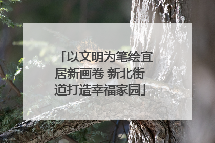 以文明为笔绘宜居新画卷 新北街道打造幸福家园
