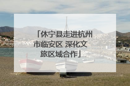 休宁县走进杭州市临安区 深化文旅区域合作