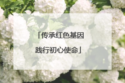 传承红色基因 践行初心使命