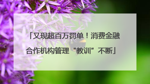 又现超百万罚单！消费金融合作机构管理“教训”不断