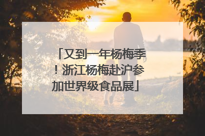 又到一年杨梅季！浙江杨梅赴沪参加世界级食品展