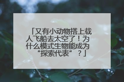 又有小动物搭上载人飞船去太空了！为什么模式生物能成为“探索代表”？