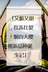 又脆又甜，扛冻扛裂！烟台大樱桃新品种诞生记