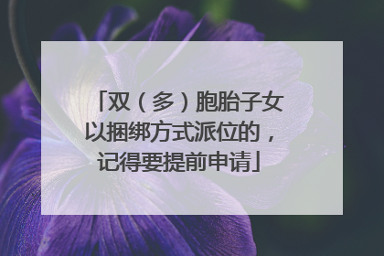 双（多）胞胎子女以捆绑方式派位的，记得要提前申请