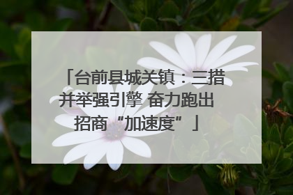 台前县城关镇：三措并举强引擎 奋力跑出招商“加速度”