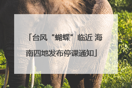 台风“蝴蝶”临近 海南四地发布停课通知