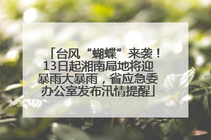 台风“蝴蝶”来袭！13日起湘南局地将迎暴雨大暴雨，省应急委办公室发布汛情提醒