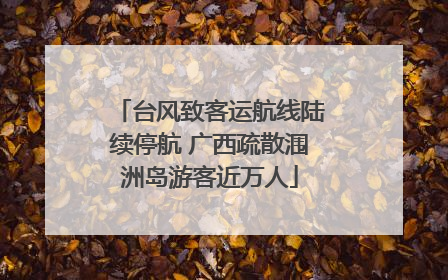 台风致客运航线陆续停航 广西疏散涠洲岛游客近万人