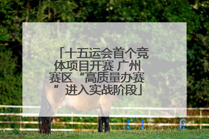 十五运会首个竞体项目开赛 广州赛区“高质量办赛”进入实战阶段