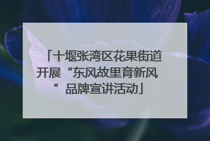 十堰张湾区花果街道开展“东风故里育新风”品牌宣讲活动