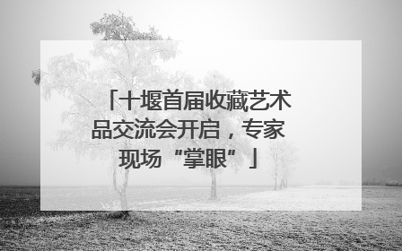 十堰首届收藏艺术品交流会开启，专家现场“掌眼”