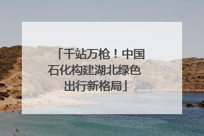 千站万枪！中国石化构建湖北绿色出行新格局