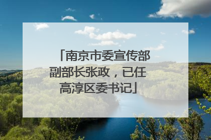 南京市委宣传部副部长张政，已任高淳区委书记