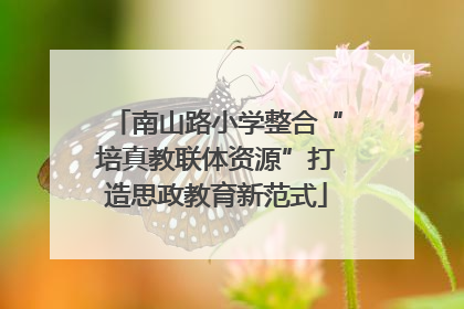 南山路小学整合“培真教联体资源”打造思政教育新范式