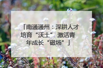 南通通州：深耕人才培育“沃土” 激活青年成长“磁场”