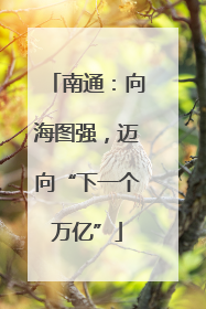 南通：向海图强，迈向“下一个万亿”