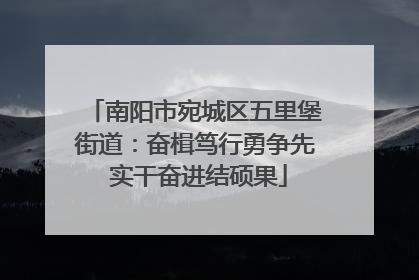 南阳市宛城区五里堡街道：奋楫笃行勇争先 实干奋进结硕果