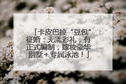 卡皮巴拉“豆包”征婚：无需彩礼，有正式编制，嫁妆豪华别墅＋专属泳池！