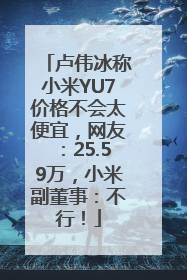 卢伟冰称小米YU7价格不会太便宜，网友：25.59万，小米副董事：不行！