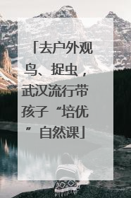 去户外观鸟、捉虫，武汉流行带孩子“培优”自然课