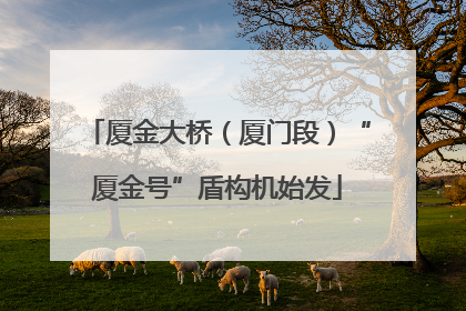 厦金大桥（厦门段）“厦金号”盾构机始发