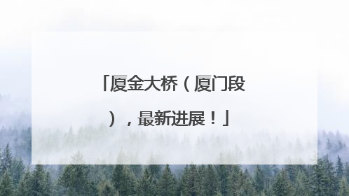 厦金大桥（厦门段），最新进展！