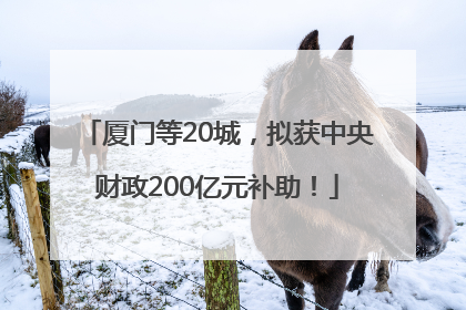 厦门等20城，拟获中央财政200亿元补助！