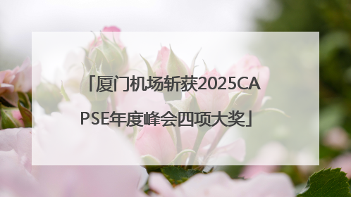 厦门机场斩获2025CAPSE年度峰会四项大奖