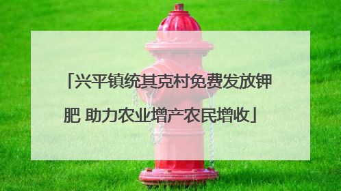 兴平镇统其克村免费发放钾肥 助力农业增产农民增收