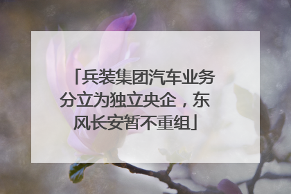 兵装集团汽车业务分立为独立央企，东风长安暂不重组