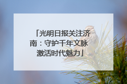 光明日报关注济南：守护千年文脉 激活时代魅力