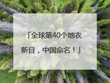 全球第40个地衣新目，中国命名！