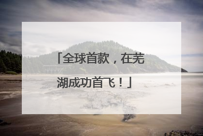 全球首款，在芜湖成功首飞！