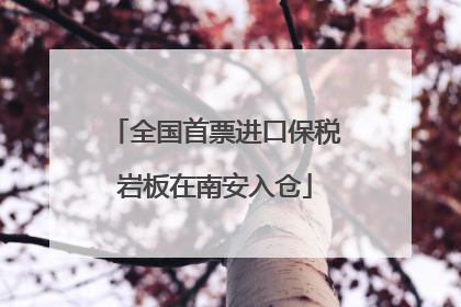全国首票进口保税岩板在南安入仓