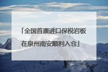 全国首票进口保税岩板在泉州南安顺利入仓