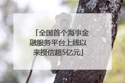 全国首个海事金融服务平台上线以来授信超5亿元