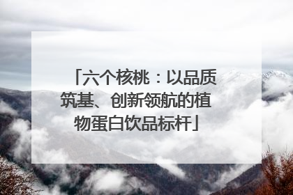 六个核桃：以品质筑基、创新领航的植物蛋白饮品标杆