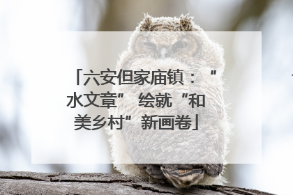 六安但家庙镇：“水文章” 绘就“和美乡村”新画卷