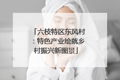 六枝特区东风村：特色产业绘就乡村振兴新图景