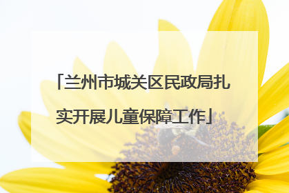 兰州市城关区民政局扎实开展儿童保障工作