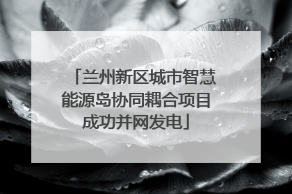 兰州新区城市智慧能源岛协同耦合项目成功并网发电