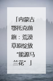 内蒙古鄂托克前旗：荒漠草原绽放“能源马兰花”