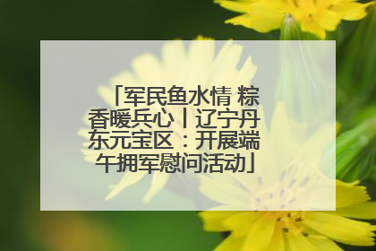 军民鱼水情 粽香暖兵心丨辽宁丹东元宝区：开展端午拥军慰问活动