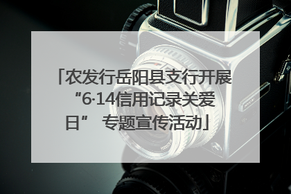 农发行岳阳县支行开展“6·14信用记录关爱日” 专题宣传活动