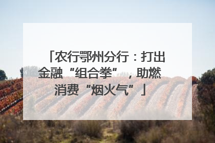 农行鄂州分行：打出金融“组合拳”，助燃消费“烟火气”