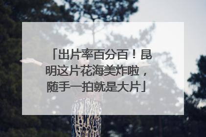 出片率百分百！昆明这片花海美炸啦，随手一拍就是大片