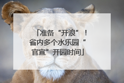 准备“开浪”！省内多个水乐园“官宣”开园时间