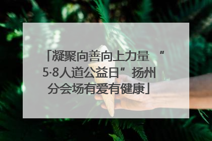凝聚向善向上力量 “5·8人道公益日”扬州分会场有爱有健康